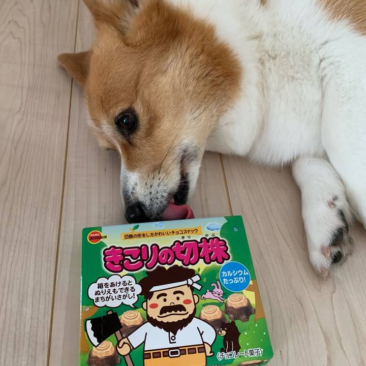 99449a51 7a4c 4237 a5aa 0f5259f05ff4 1659440555001