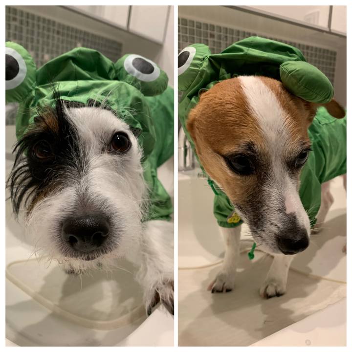 9944c85c 1964 4216 b824 7d09ce84828c 1575690044363