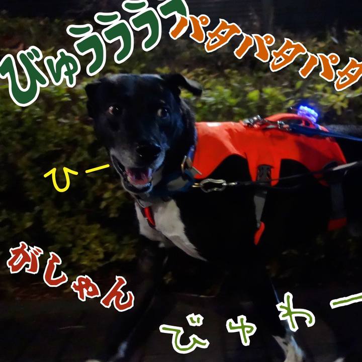 9944cedd 9545 4de7 8595 f1e10d6559ec 1708338776143