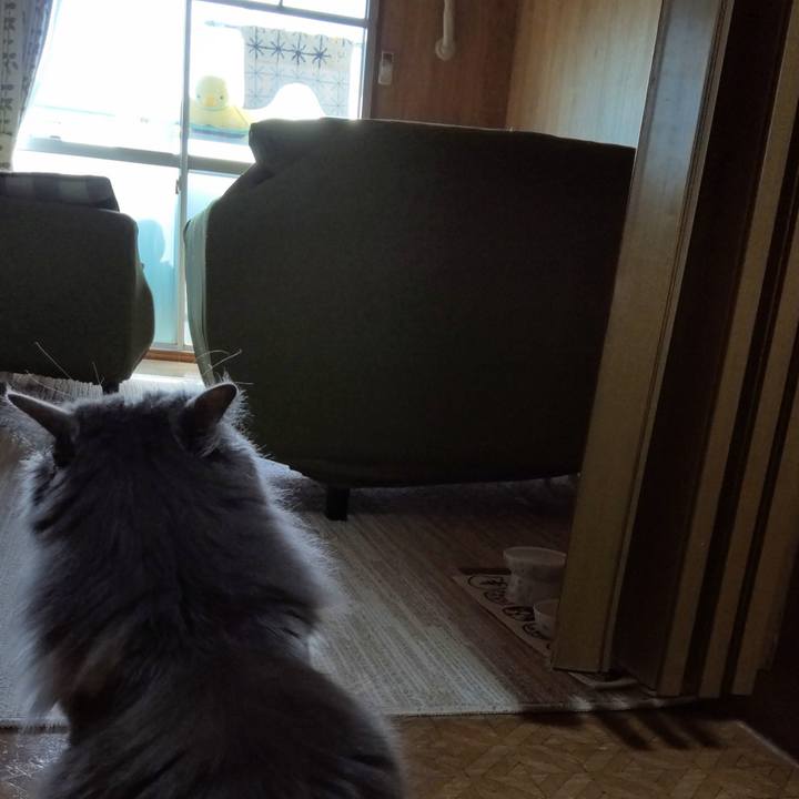 9944f132 b8a0 42f0 9881 623f1c882850 1678944451432