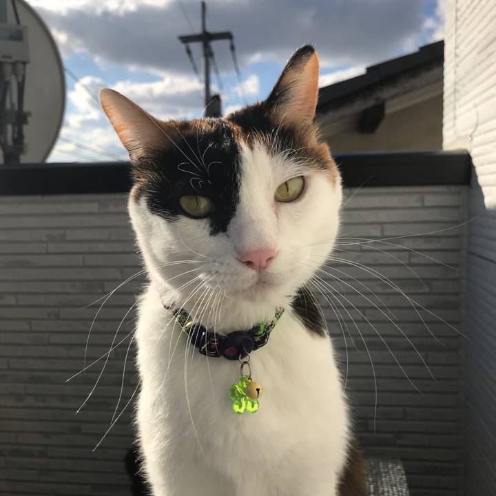 994510db 3d76 4a04 a84f 8bdfbb7d87f6 1544765233812