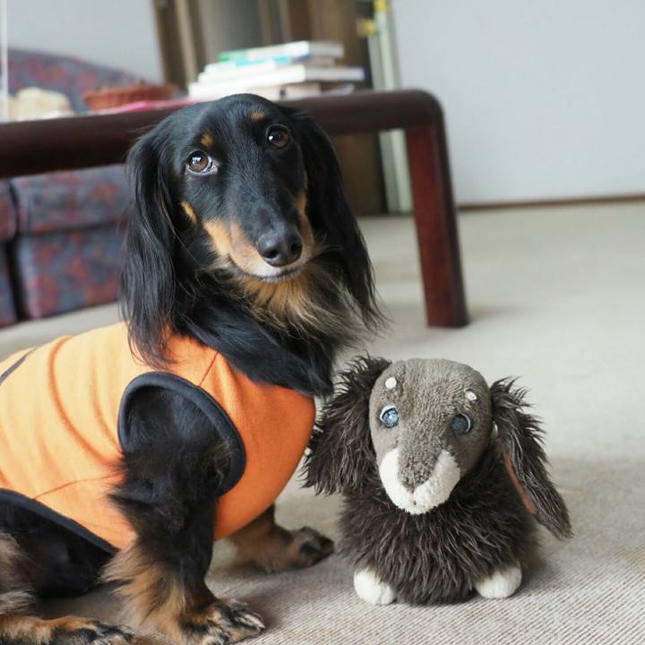 994540f6 84c4 4eba 9f6f 19174633bd37 1553222522089