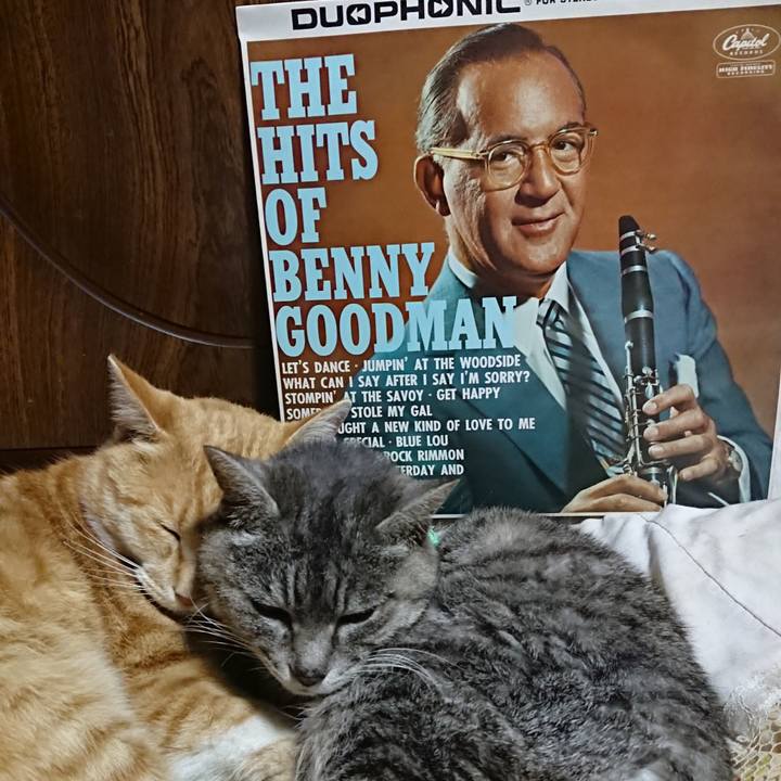 9945585b 20c6 43bb b607 3db2d61c58d7 1587126886432