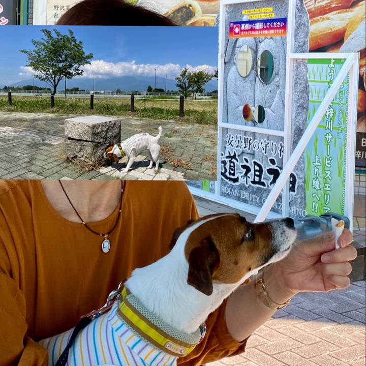 99455a9e 3269 4b15 9dc0 5c8017858b97 1627006714330