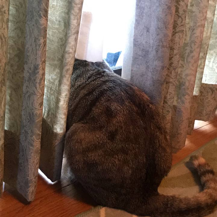 99457e81 9b80 4416 80aa 4985e2eec2c3 1586162595757