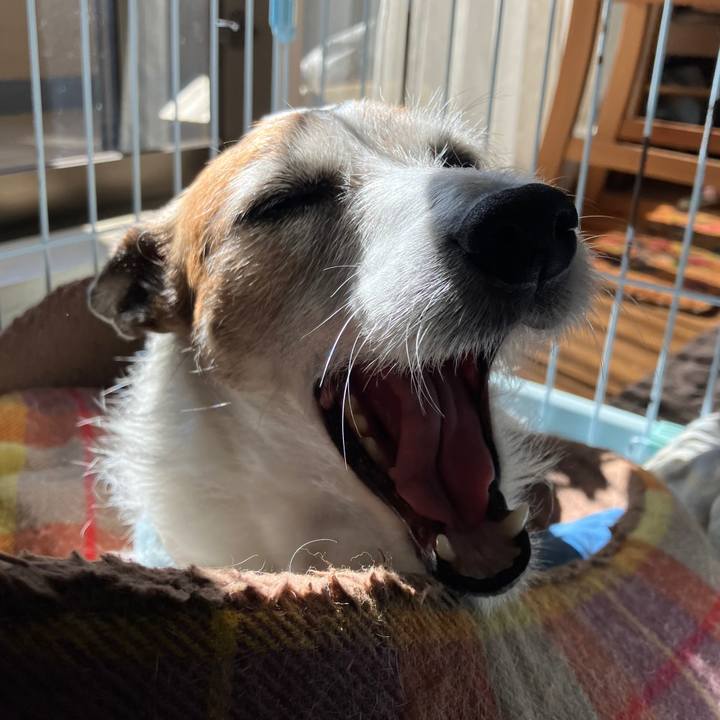 994589e5 1c37 451f a952 4305866a7d7d 1700781542156