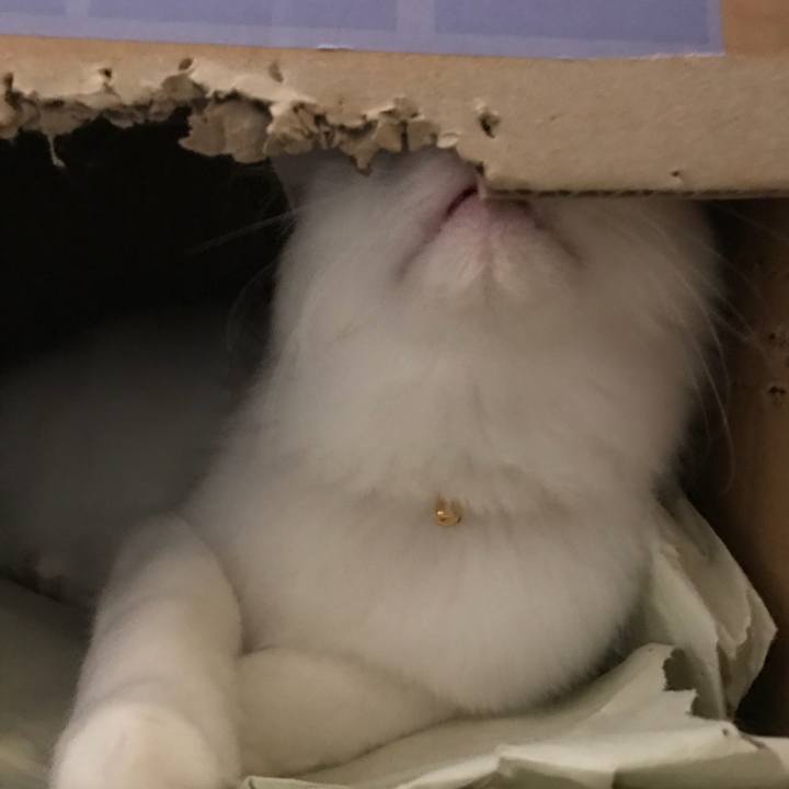 9945a1f9 9452 474a aa49 2d9a40fac2ba 1522382213181