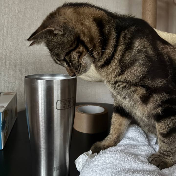 9945a301 1f38 4e73 b41c 853389c58e73 1750067829164