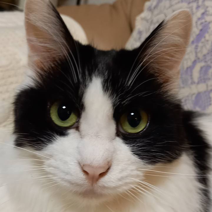 9945ad3b b0a0 4ad3 892b 275302dd9c25 1603527699544