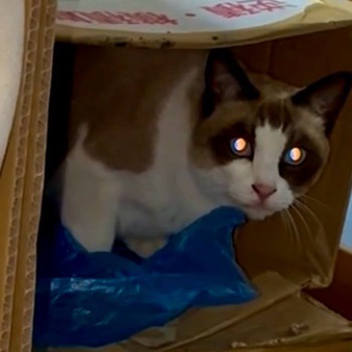 9945d873 fa82 4919 a7e0 a3de6258be0d 1763980778395