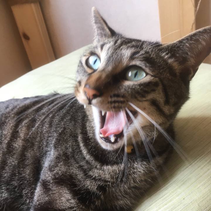 9945dfdf 7d75 4cd1 b09c 5d125aa6fbb4 1557071716200