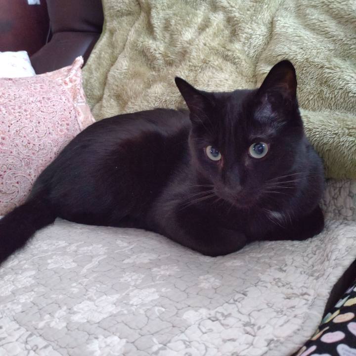 9945e0c6 1ae4 43d5 a2d9 e71d27afb2a5 1640826255301