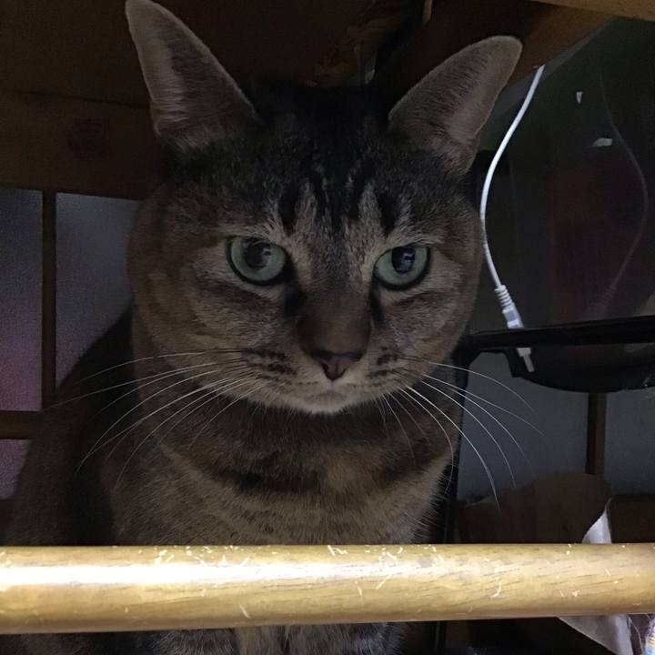 9945e7e2 87f9 4ed4 a411 542b16172194 1733303770960