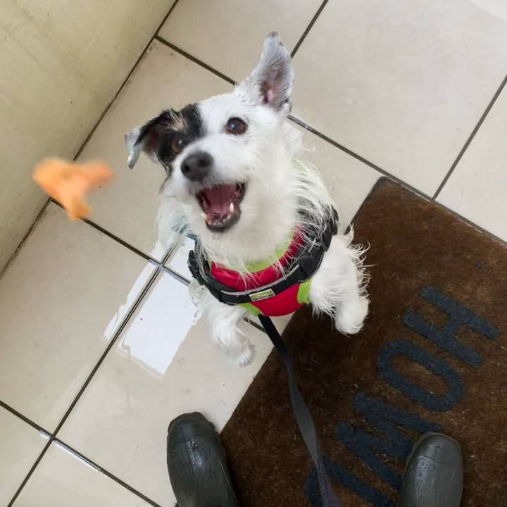 9945f682 b205 433e af03 579ca4725d97 1748650081012