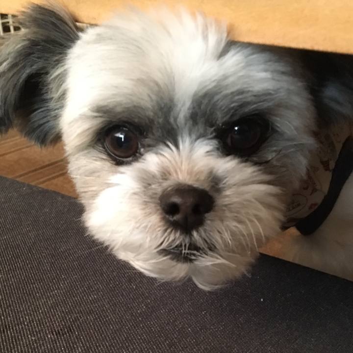 99460f87 77e3 469d bea4 e2ee34db9377 1516489027161