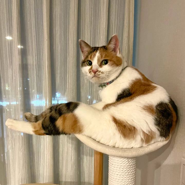 994652b3 ff67 4421 b540 e0142c31a4cc 1703846672840