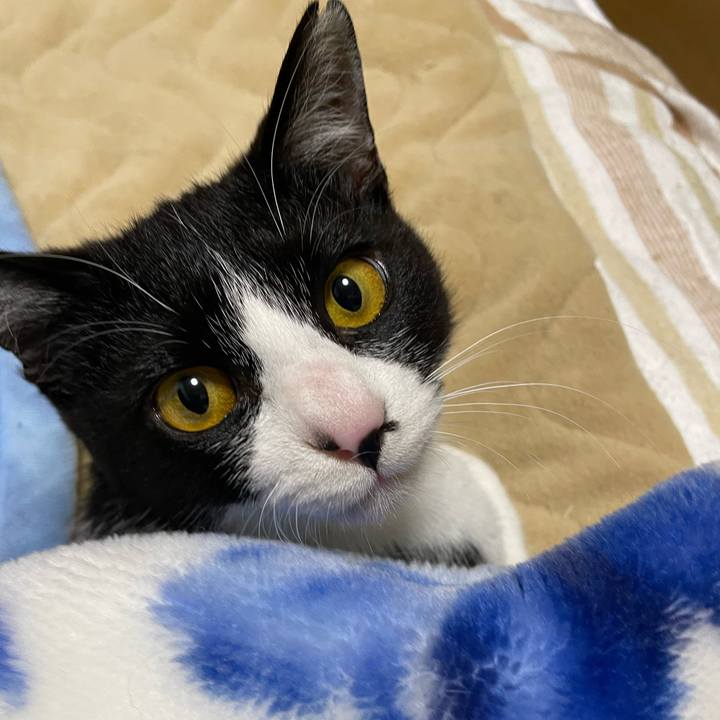 99466eee 5d54 4e21 a9b1 532109b93b4b 1680958777494