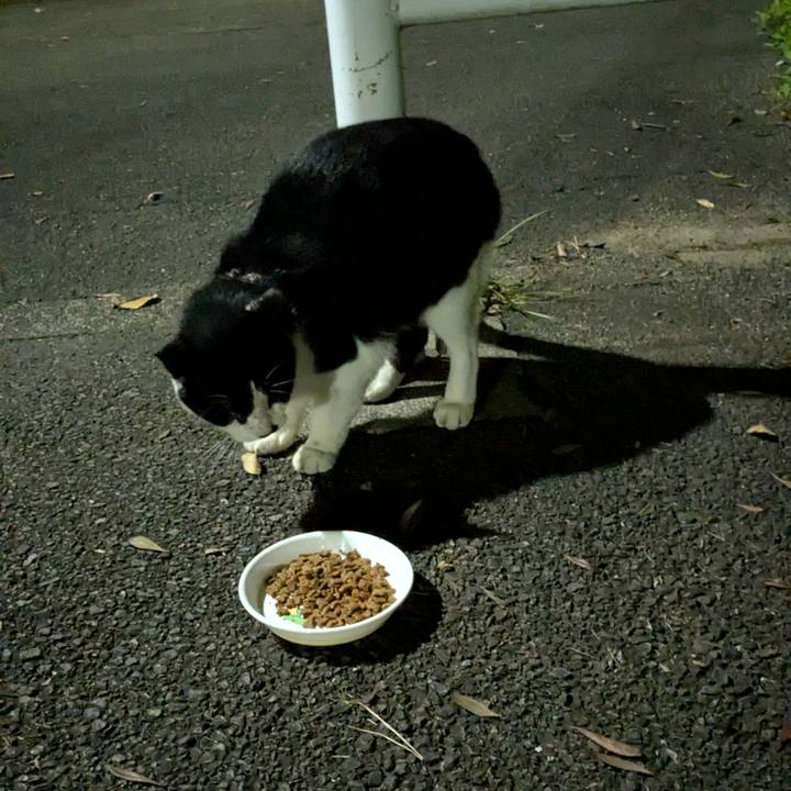 9946a395 e3ec 4bfb a547 cab4c71861e7 1761283376059