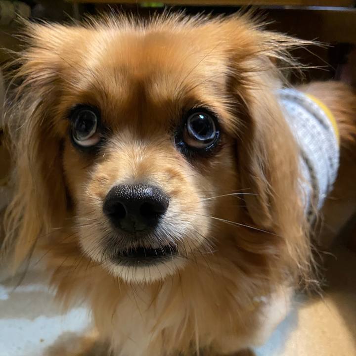 9946abdc d264 4484 a841 0bf626c695ed 1577312142160