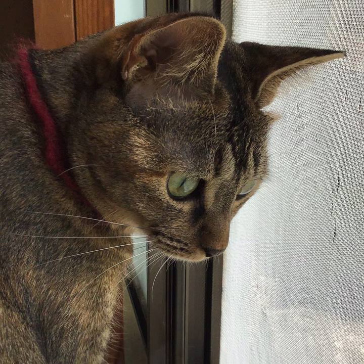 9946aee6 8526 4494 a34d bc59d66d2f4d 1600740114101