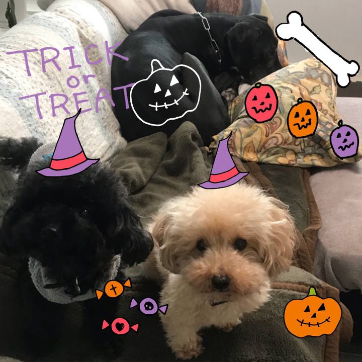 9946cf1b 291f 465e 9fef a0fc72ef153a 1509449057454