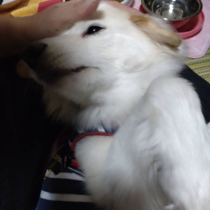 9946d2e1 d2fe 4632 8763 5e786e1d6089 1641809515747