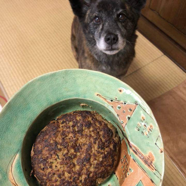 9946d899 ec1e 459d 99ca 10c3f5551ace 1620025424573