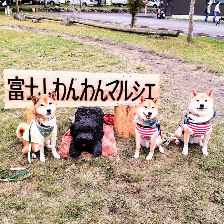 99471f5a 0e07 47e5 946e cc3a43a19c5d 1633868141463