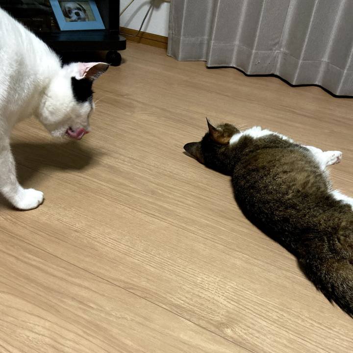 99476fcd c94b 416b af52 7a321f209bc7 1570970877098