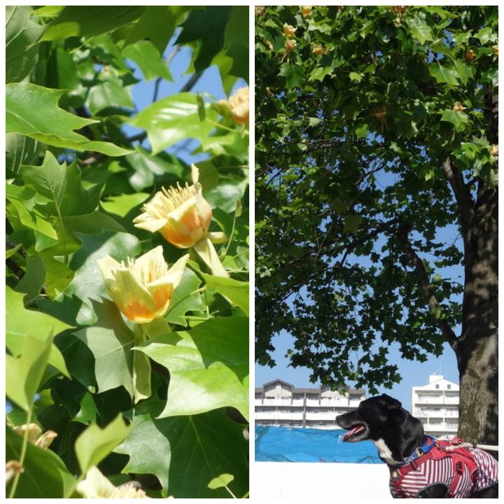 9947a88b 9179 40ce 9fba 1238c70cb432 1683160652027