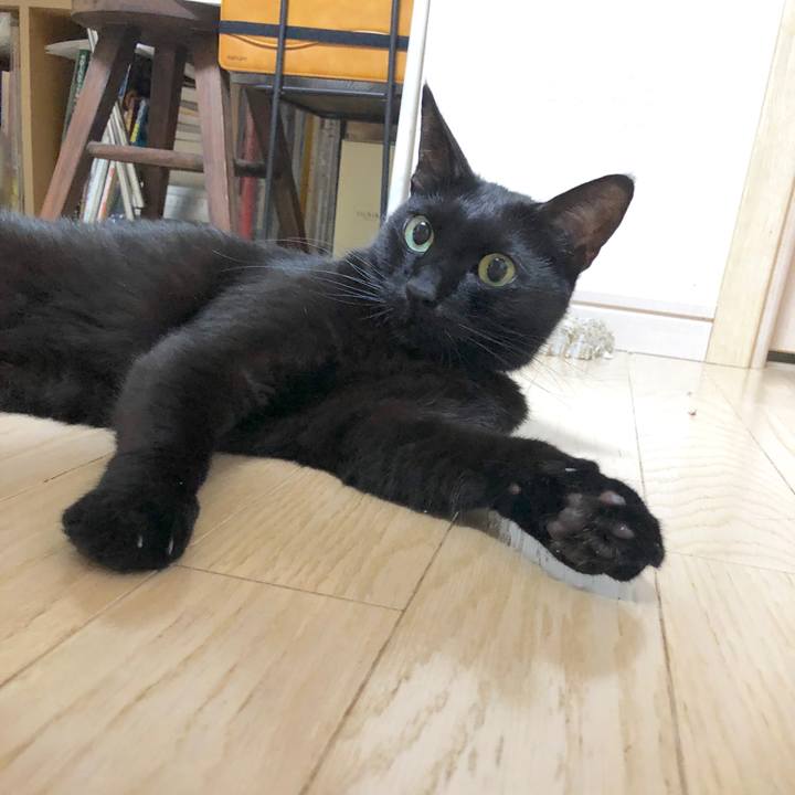 9947ad9e 8ca9 4938 ad9f 5b6f4b4d2479 1593002742140