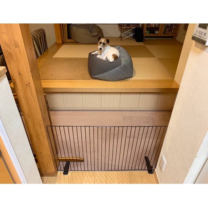 9947ee7e eecb 4457 b35c 4a6444fc2899 1590059807962