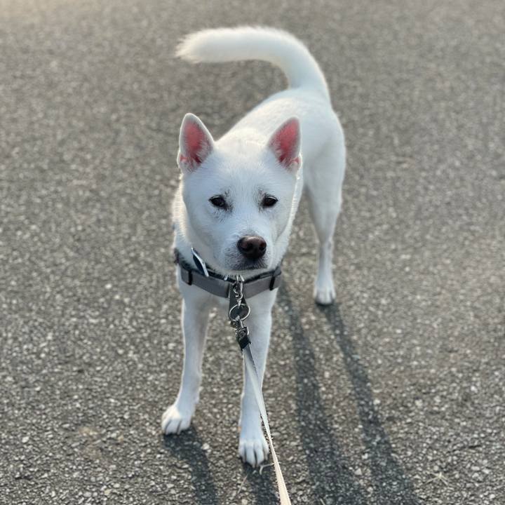 99480f94 cbf4 4a41 87a4 322201d88459 1635377709008