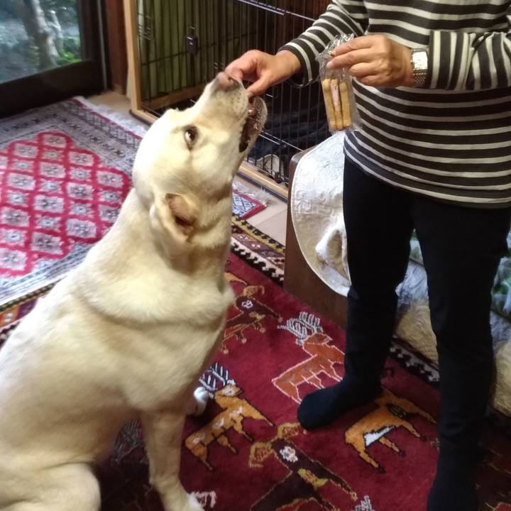 994838a5 b0d2 44ef 87c6 15d738845227 1540626777282