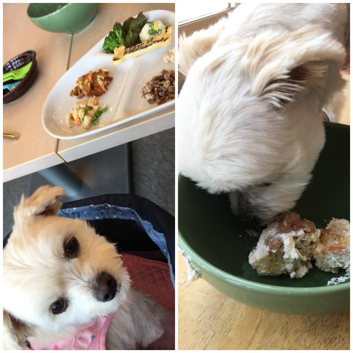 99484634 1670 4146 806d 9038a872d194 1521864124119