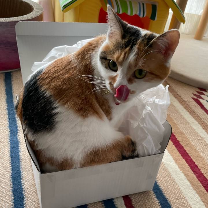 9948578b c07f 42ff 889b 41a50502ae2a 1641804746462