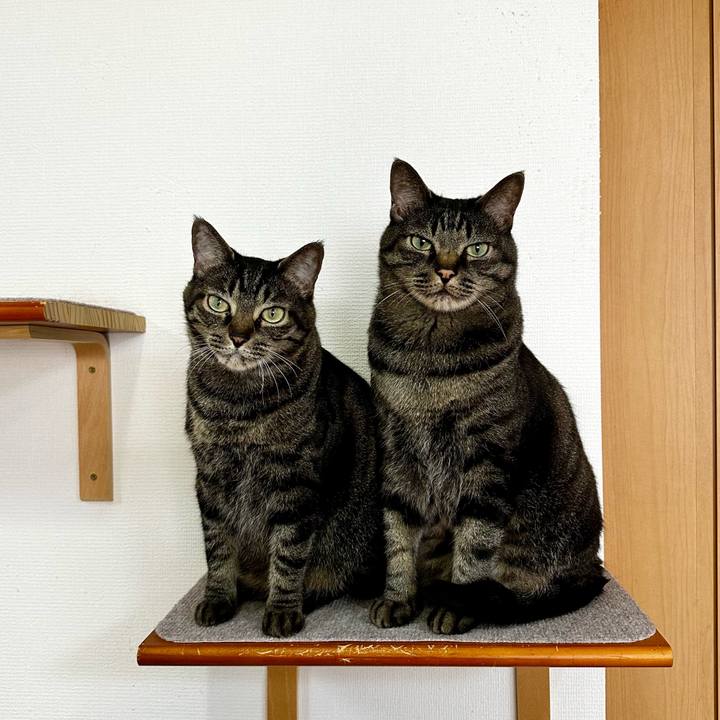 99486508 6af6 402d 9b54 ed208c708357 1773482915165