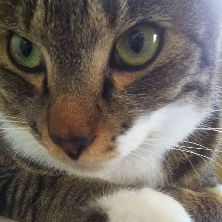 994908a5 2997 45de a7ce 9c19705f05dd 1613724830451