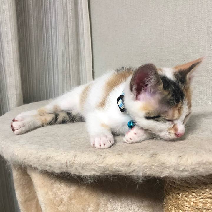 9949274c 556f 4b89 90bc bbfa0776f791 1561905255237