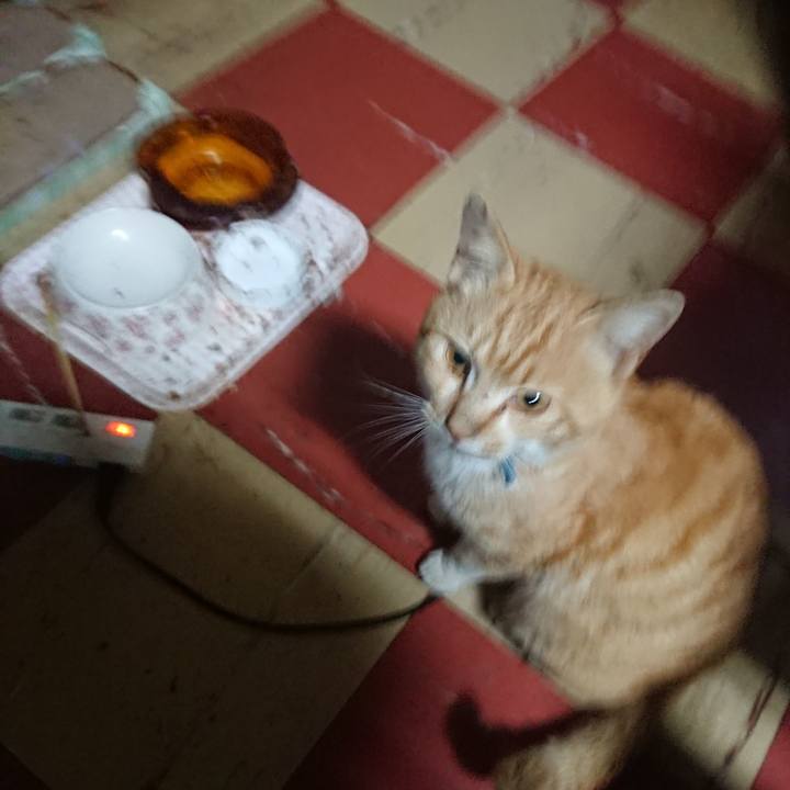 994962ab f949 4d5a b191 0c618bdad397 1555703804234