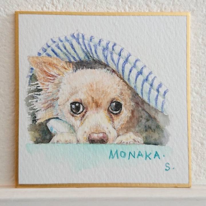 99498727 c5dc 47e7 86fa 396f6b85b01c 1589354601896