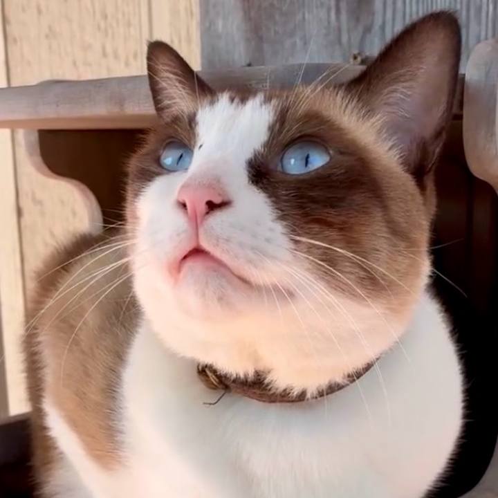 9949a7a4 a8e6 4057 8ba7 ba6c3fbec573 1760239424739