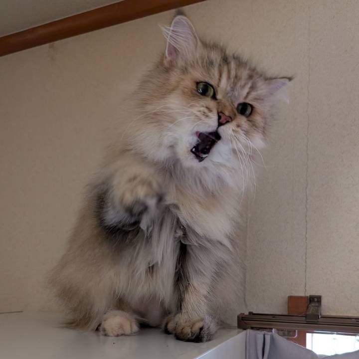 9949d025 a0b5 4b4b 8fd0 98986412da7a 1759641879139