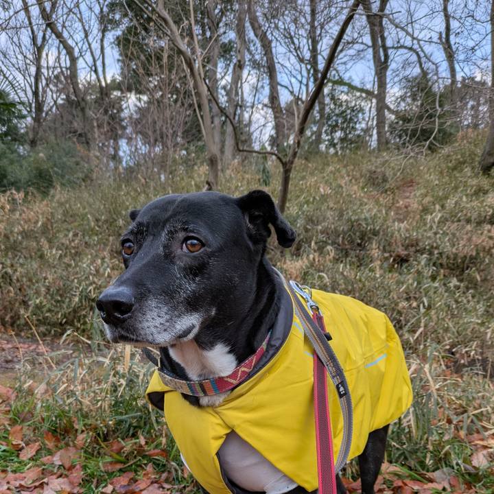 9949d590 dce2 4c45 aaac 191bb0292854 1737761519089