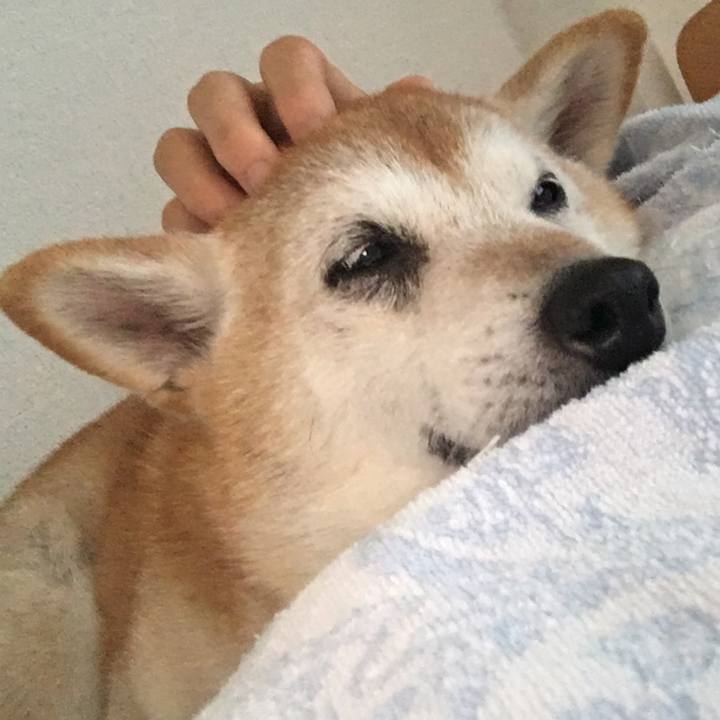 9949f577 1499 4a81 bbe4 92f1f77081ec 1536798482175