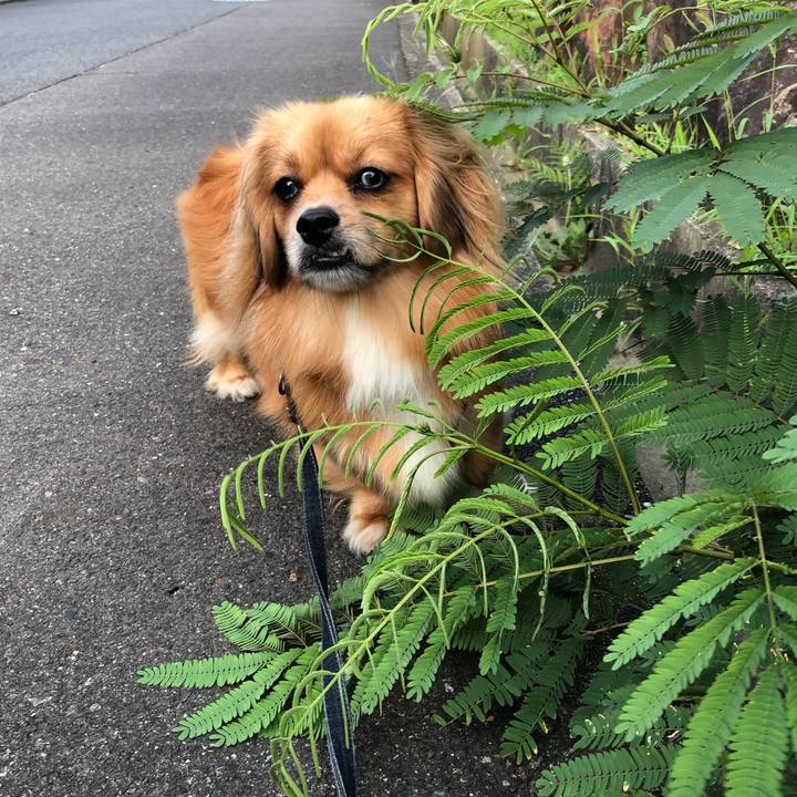 9949f5a9 8aa1 40c6 a22e 8eb4648a88a9 1531514834109