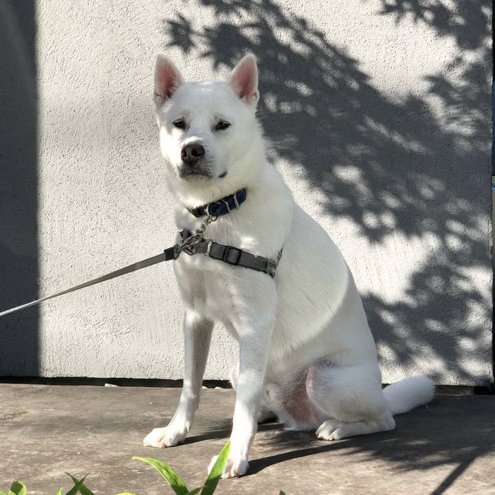 994a0c0b 4bbf 44b3 9495 0443bd255cb6 1601941632817