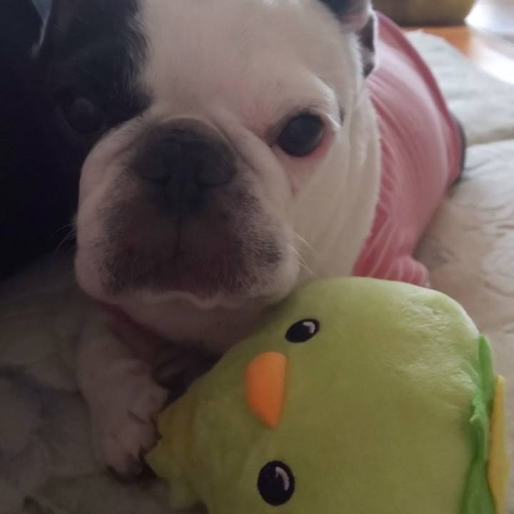 994a2639 d25c 459b 8888 c666066030ba 1566096717209