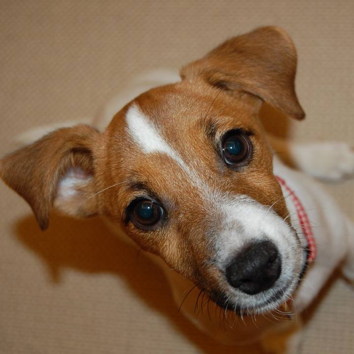 994a3c51 7cb0 43ac 9991 164c325b7eab 1758679938744