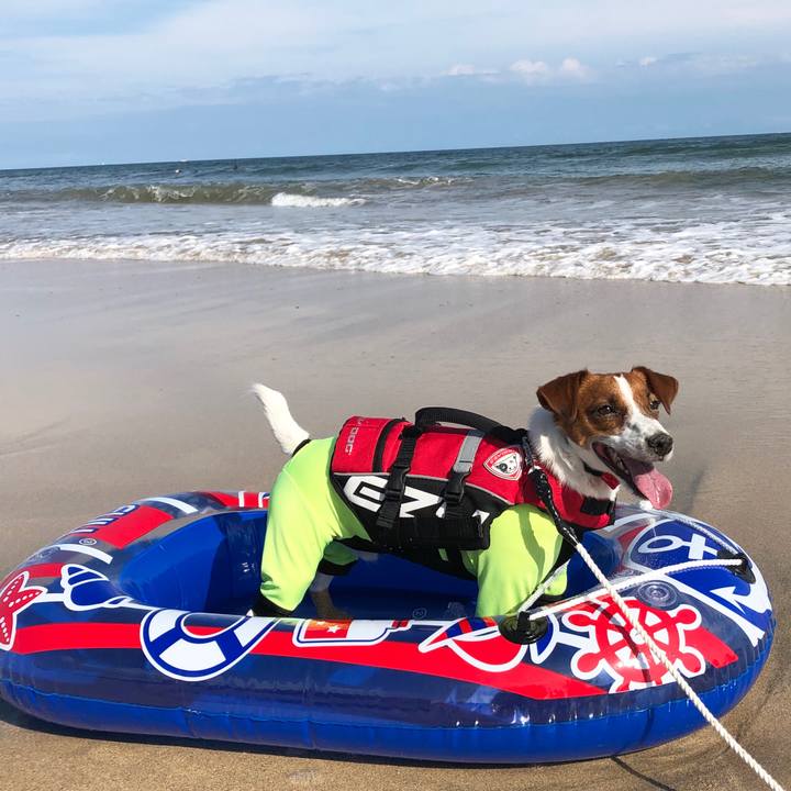 994a4b59 1d63 482d 8de0 cac57c277864 1561446010061